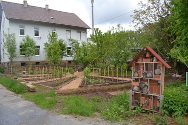 Nordheim - Wurzeln schlagen