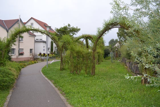 Die Bogen der Weidenkapelle reichen bis zum Pfarrgarten